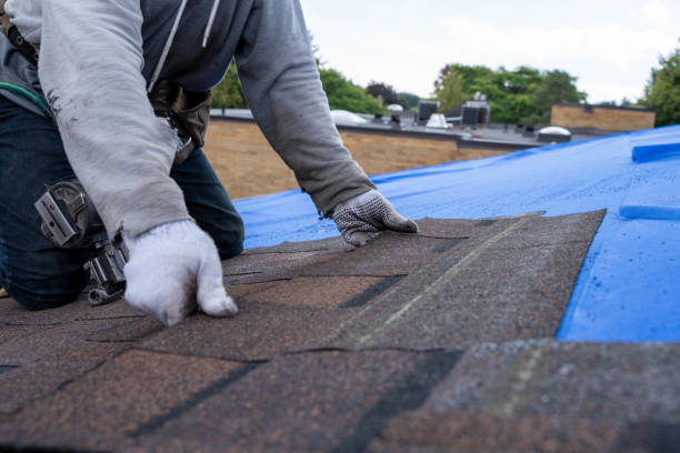 Best Green or Eco-Friendly Roofing Solutions  in Lake Of The Woods, AZ